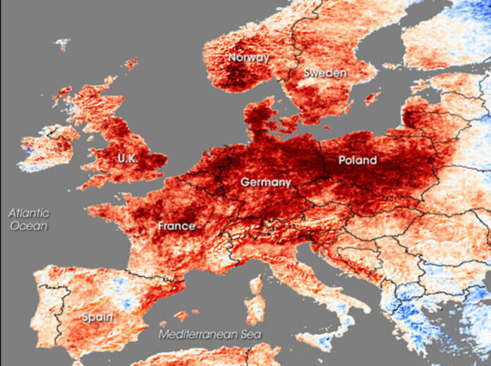 Weuropelsta_tmo_2006201 (1)